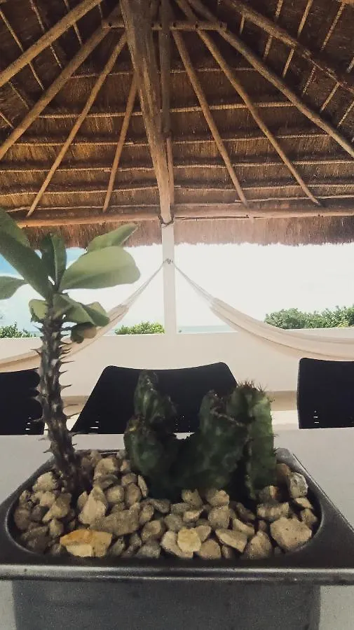 Casa Azul Mahahualヴィラ マアウアル